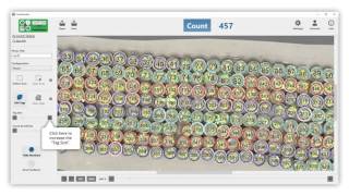 Celebrity Advanced features of the CountClusters app for Windows (2016-02-29) Wealth