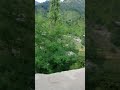 kpk swat