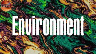 Environment (Lyrics) - Dave