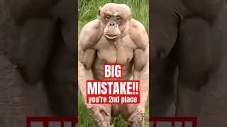 This Animal Makes Humans Look Weak