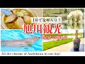 【北海道旅行】旭川観光でグルメ/癒し/エンタメを楽しむベストコース(2022年旭川旅行)