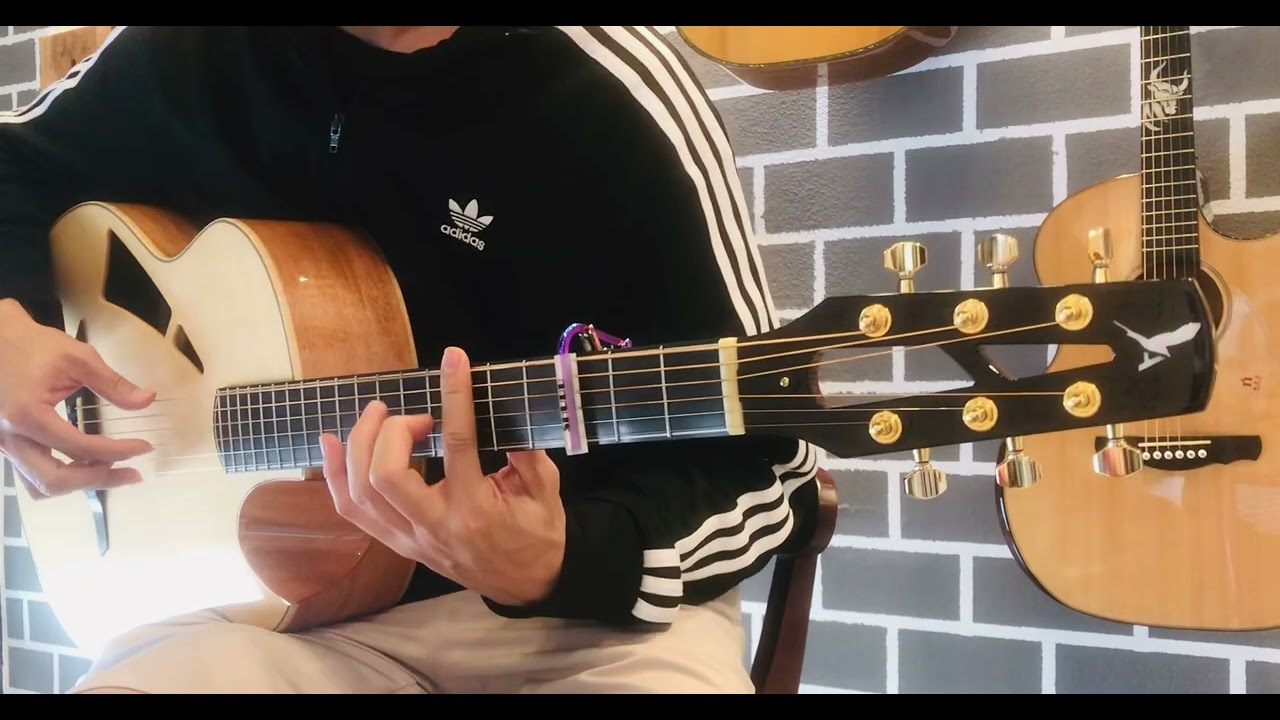 AVIAN Skylark 3A series & เพลงจีน Fingerstyle