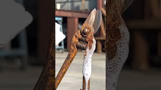 Instant Rust Removal Spray, Satisfying ASMR : #rust #spray #satisfying #asmr