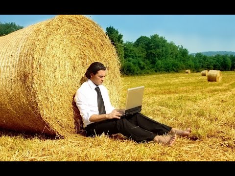 Стереотипы о сельском хозяйстве мешают его развитию