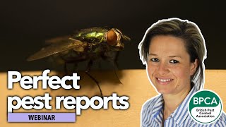 Writing the perfect pest management report