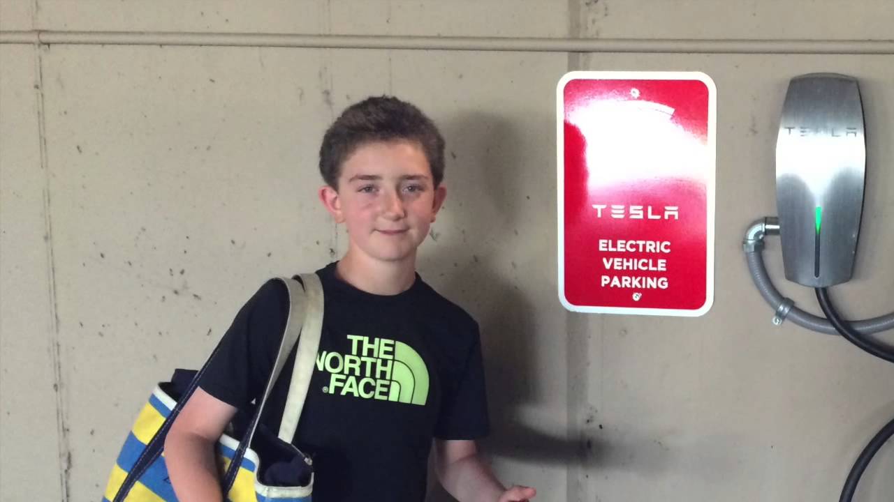 Wgo tesla boy
