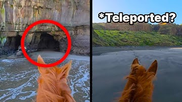 Ongelooflijke momenten vastgelegd op camera