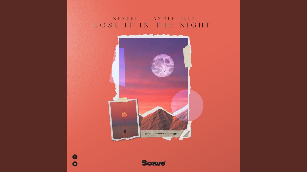 Lose It In The Night