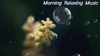 3 Hour Relaxation Morning Music 🎵 Healing Music, Stress Relief Music, Meditation, Yoga