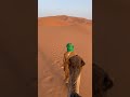 Why Camels Survive Extreme Deserts