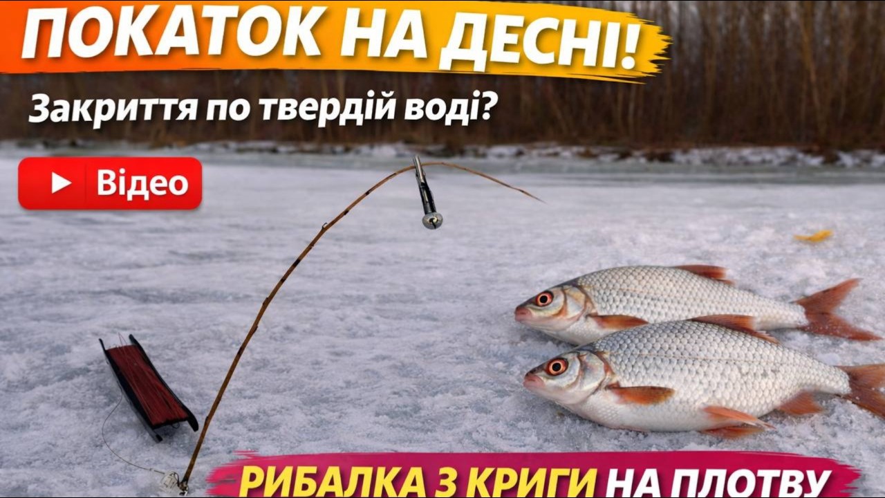 Покаток на Десні❗️Рибалка з криги на ПЛОТВУ