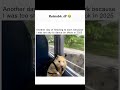 Too Shy for TikTok Dance in 2025 😂🐹| Relatable AF for girls #FunnyMemes #Relatable #HamsterMeme
