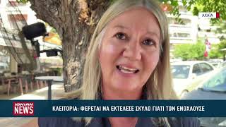 Άνδρας φέρεται να πυροβόλησε και να σκότωσε δεσποζόμενο σκύλο στα Καλάβρυτα
