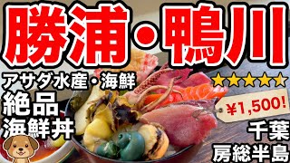 【房総ドライブ旅】勝浦の絶景から鴨川の絶品海鮮へ!アサダ水産・ビーチボーイズ・崖観音を巡る旅
