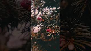 hold of me... #songlyrics #poetry #poem #riverflowinyou #yiruma  #music #love #heavenlyrics