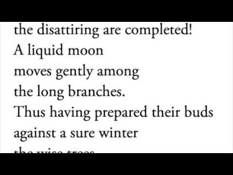 Winter Trees By William Carlos Williams