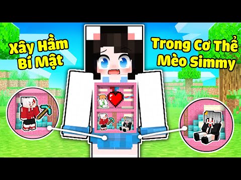 Video Mèo Simmy Thử Thách 