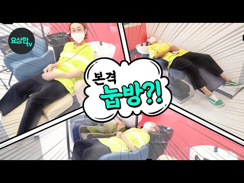 (뷰체 <strong>미용의자</strong>,샴푸대) _요상한TV
