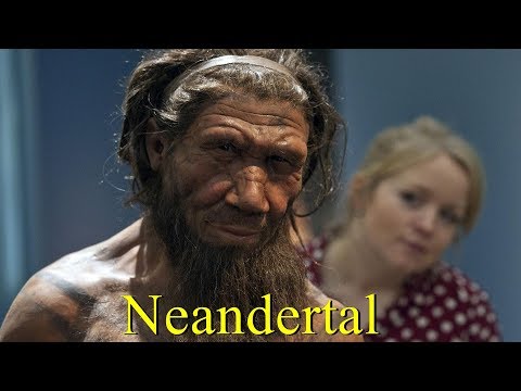 Video: Neandertallar insanlardan güclü idilər?