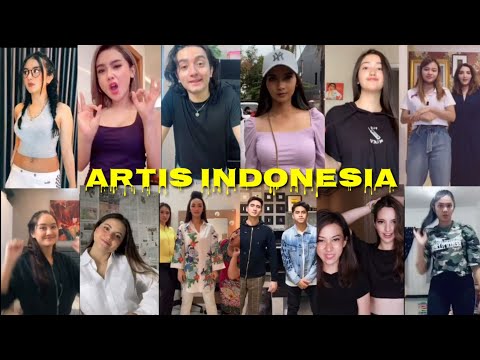 TikTok Artis\