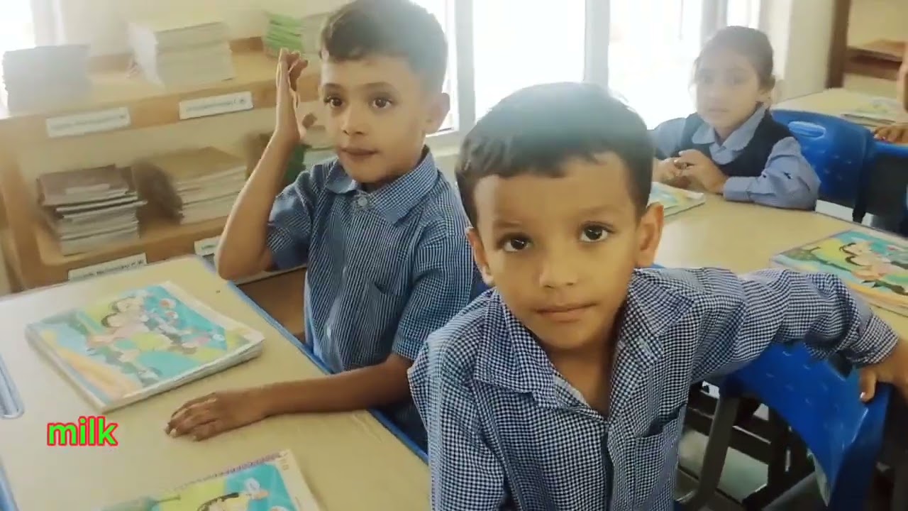 Show and tell3 |Big picture intro| food and nutritions 