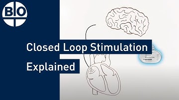 Revolutionizing Cardiac Care: BIOTRONIK