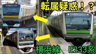 【多数の転属疑惑！】横浜線　E233系6000番台　快速　成瀬駅　通過シーン