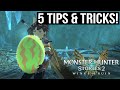 5 Tips and Tricks for Monster Hunter Stories 2 I Wish I Knew Before I Started