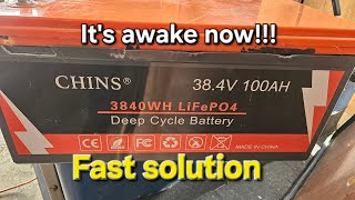 Chins 12v 24v 36v 48v Lithium Battery Asleep. No voltage, and won't charge or connect to app.