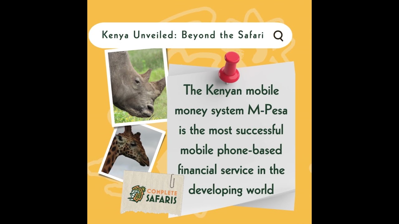 The Kenyan mobile money system, M-Pesa, is the most successful mobile phone-based financial service in the developing world.