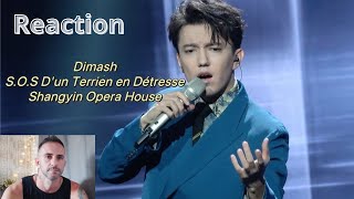 Dimash "SOS" China brand day gala official version 2024/05/10 - REACTION