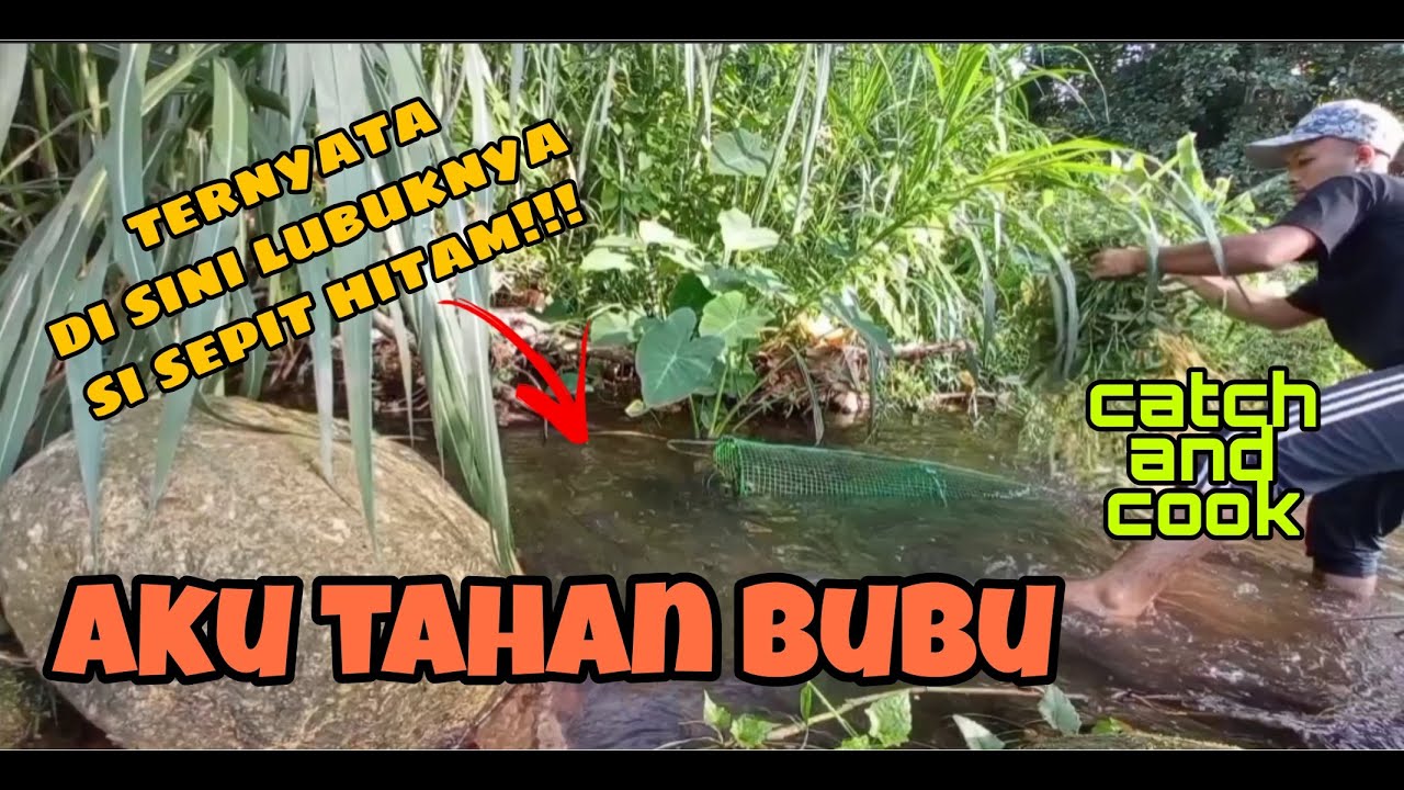 #EP215 Tahan Bubu di Anak Sungai - lubuk udang galah batu