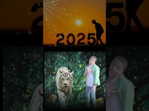 محمود كتكوت امشي يا كارفه