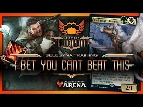 ALL NEW TIER 1 ⚔️ MYTHIC RANK #56 ⚔️ 80% WIN RATE ⚔️ SELESYNA TRAINING