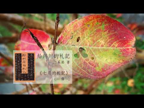 讀字成癮【奚淞 - 給川川的札記】七月的札記 : 之一 / 傷心