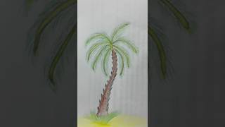 Palm drawing #palm #tree #drawing #shorts #youtubeshorts