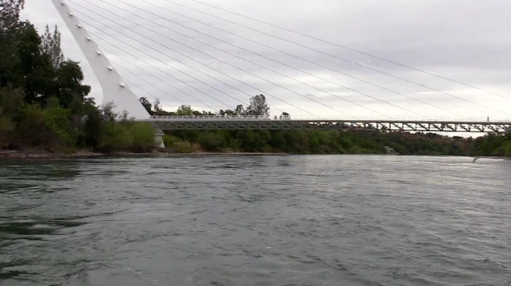 Fly Fishing a Ledge on the Lower Sacramento River
