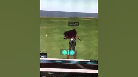 Singularity viewer on sim