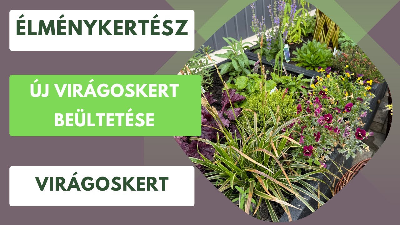 Új virágágyás beültetése🌸🌺