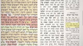 מסכת קידושין דף כ"ט 29