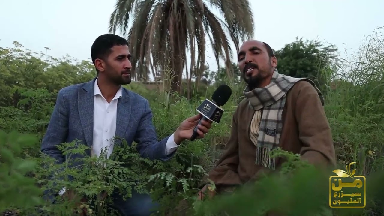 دراسة جدوى كاملة لزراعة نبات المورينجا المذهل.. ربح الفدان يزيد عن 100 ألف جنيه 💪😍