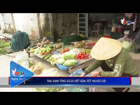 Video Rau xanh tăng giá do rét đậm, rét hại kéo dài - youtube