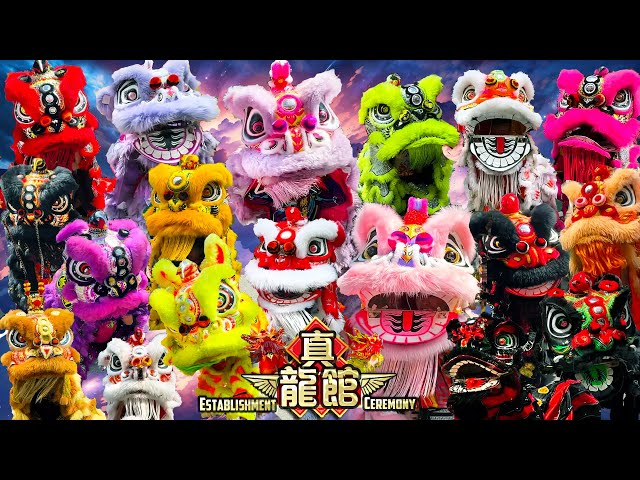 Lion Dance | Zheng Loong Guan Establishment Ceremony | 真龙馆成立