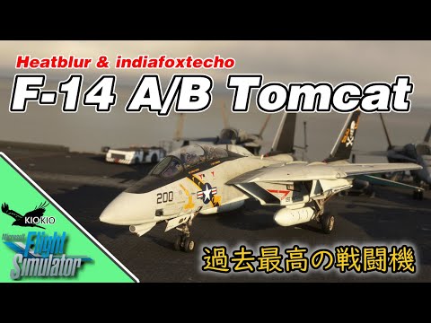 MSFSで過去最高の F-14 | Heatblur + indiafoxtecho【MSFS 2020