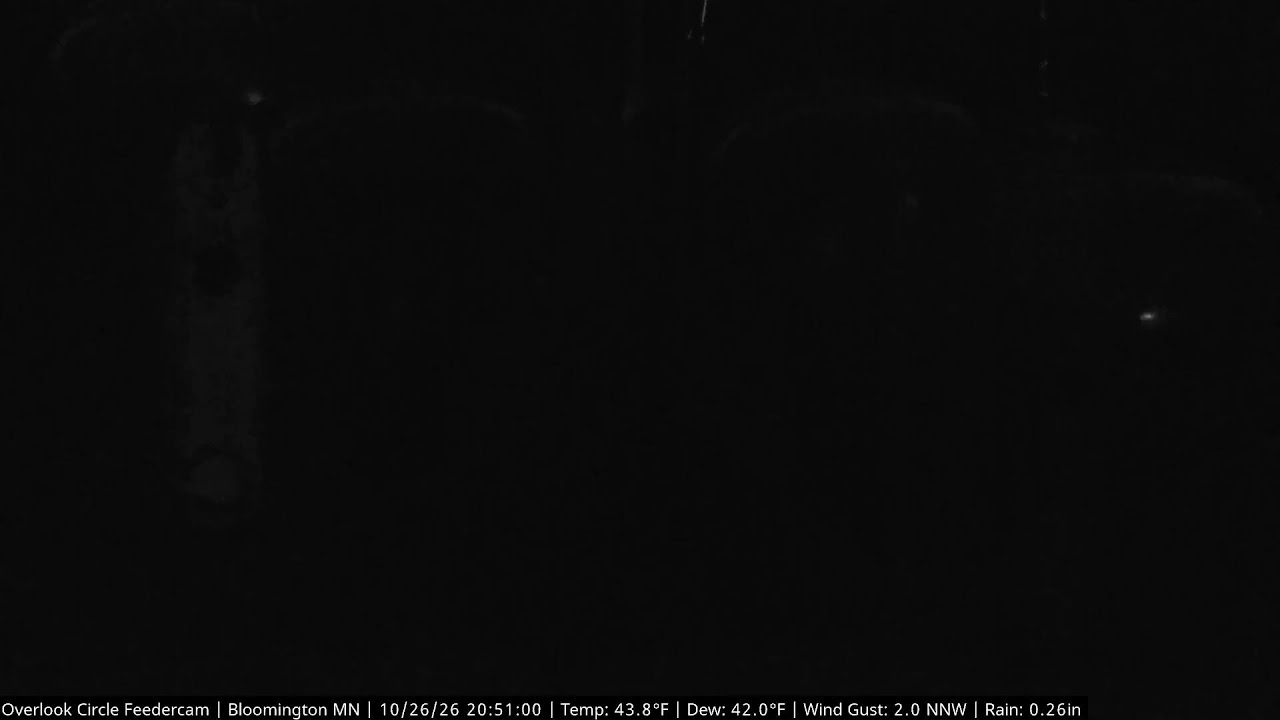 Overlook Circle Backyard Feeder - Bloomington, MN — Bloomington, MN live camera thumbnail