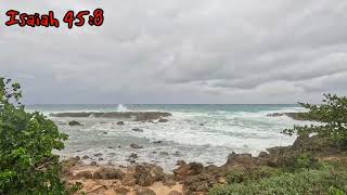 Let the Rain Ella Joy Meir - Topic @photolukehawaiitravelsandb2885