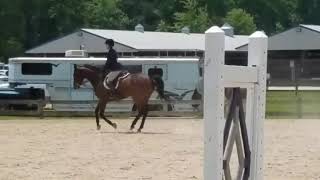 Coachello Int Adult Hunter