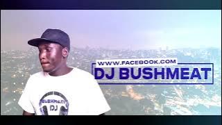 DJ BUSHMEAT PRAISE AND WORSHIP GOSPEL MIX