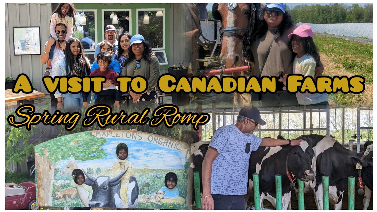 A visit to Canadian Farms| Spring Rural Romp 🐄🐣🐥🐓🐔🦢🦆🍎🍓🥦#canada # ...