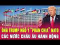 Ông Trump ngỏ ý “phân chia” NATO, các nước châu Âu hành động